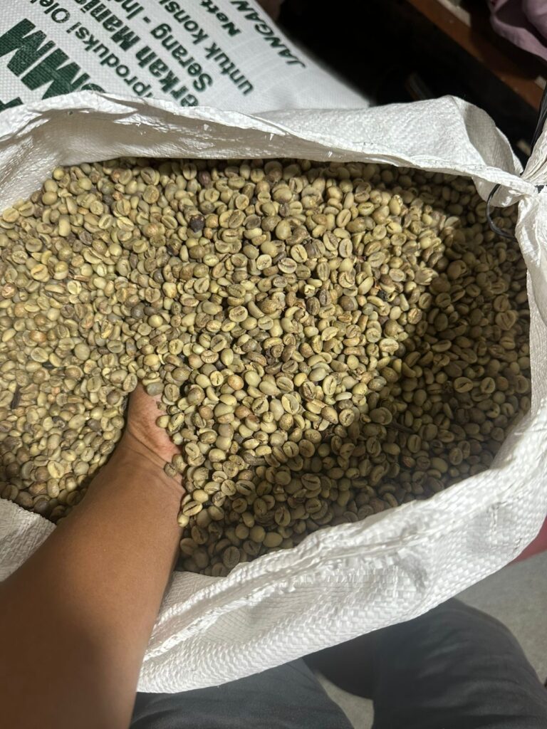 Green Bean Coffee Robusta